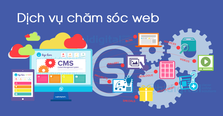 Dịch vụ chăm sóc website