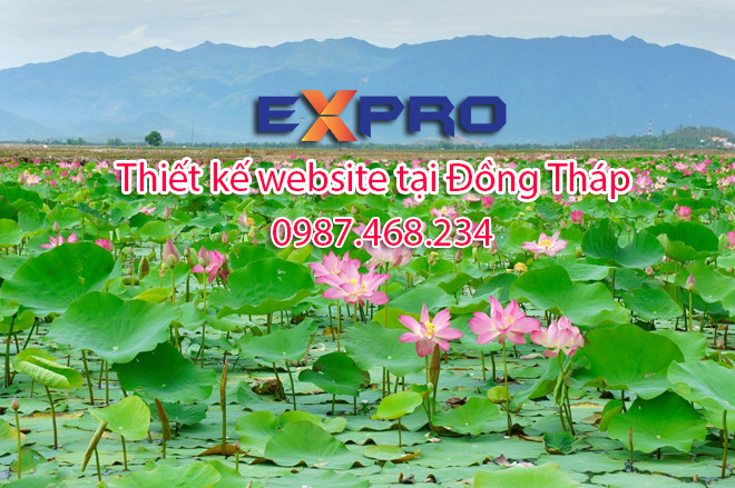 Thiết kế web tại Đồng Tháp