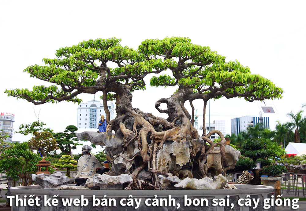 Thiết kế web bán cây cảnh, bon sai đẹp mắt, độc đáo