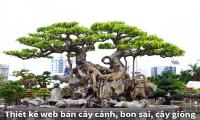 Thiết kế web bán cây cảnh, bon sai 