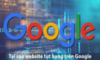 Tại sao website bị tụt hạng liên tục trên các trang tìm kiếm Google? 