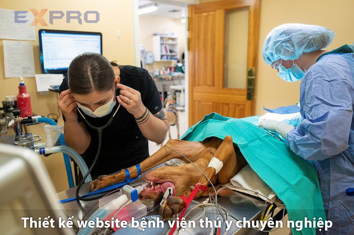 Thiết kế website bệnh viện thú y giá rẻ, đẹp mắt, chất lượng cao