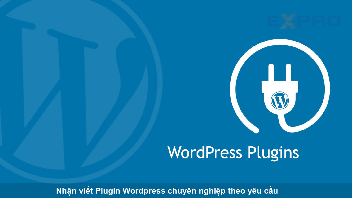 Nhận viết Plugin WordPress và lập trình theo yêu cầu chuyên nghiệp giá tốt