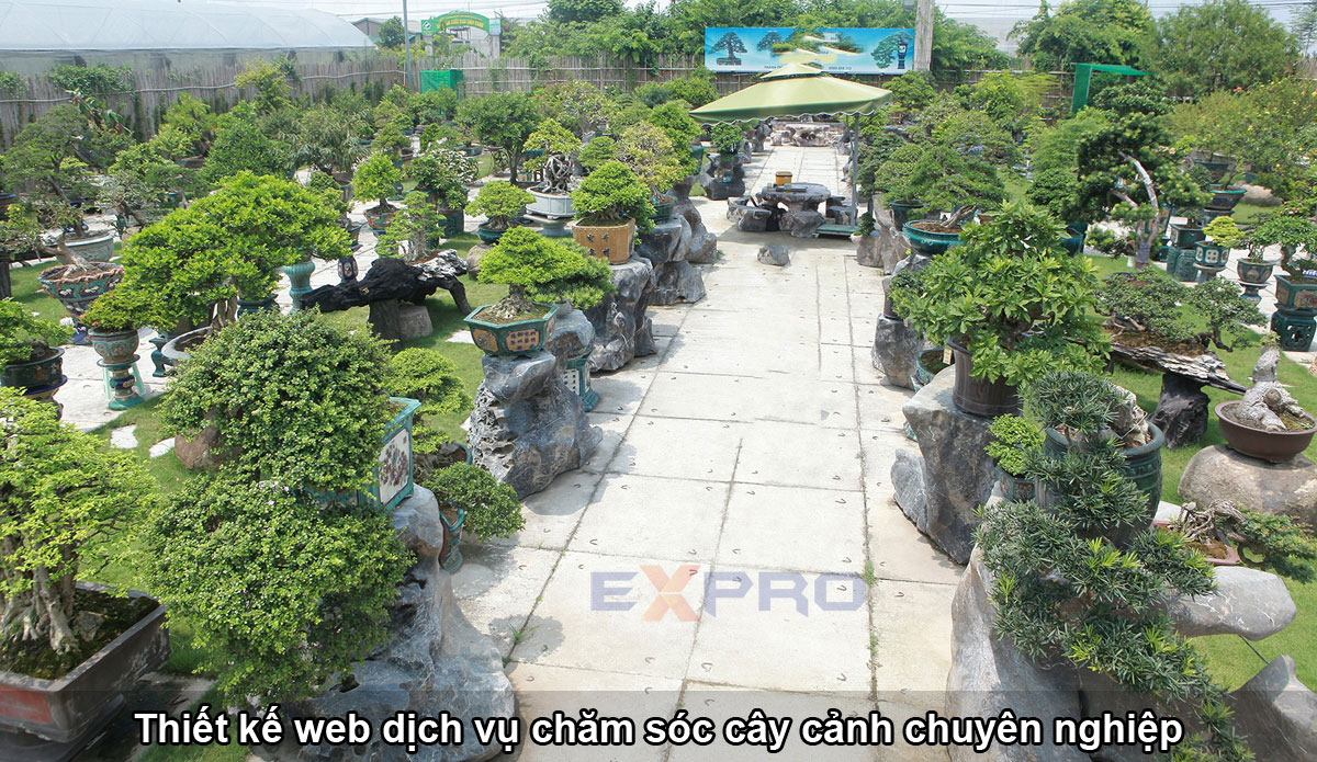 Thiết kế website dịch vụ chăm sóc cây cảnh - bonsai giá rẻ giao diện đẹp mắt