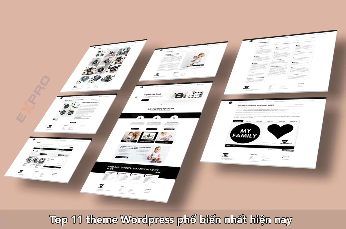 11 Theme WordPress phổ biến