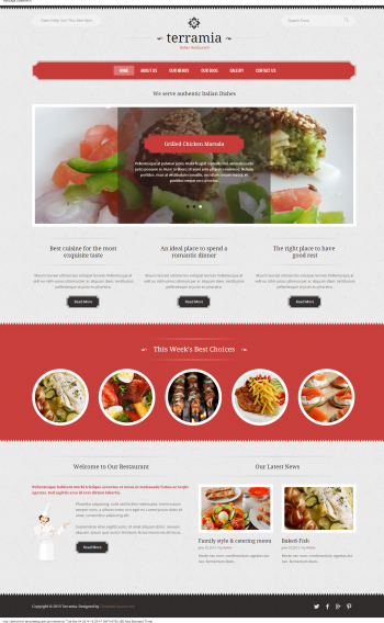 Website giới thiệu cửa hàng cafe Terramia